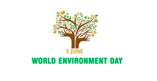 Young Nepali activists protect pangolins