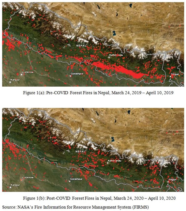 Nepal sees drop in wildfires during lockdown