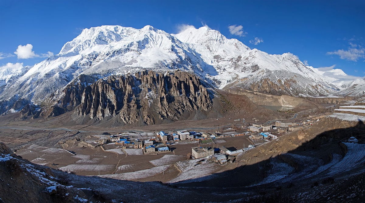 Forests replace glaciers in the Himalaya