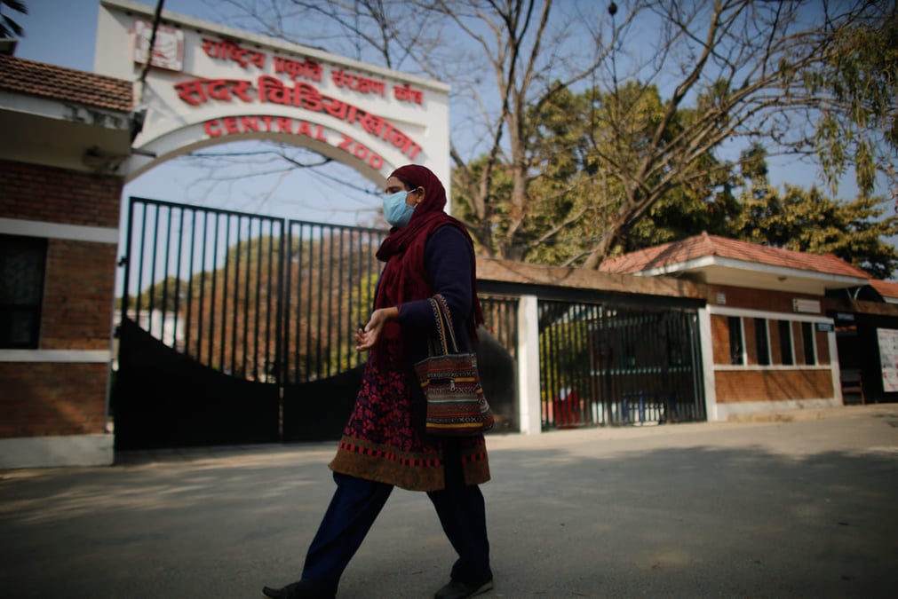 Central Zoo opens after nine months