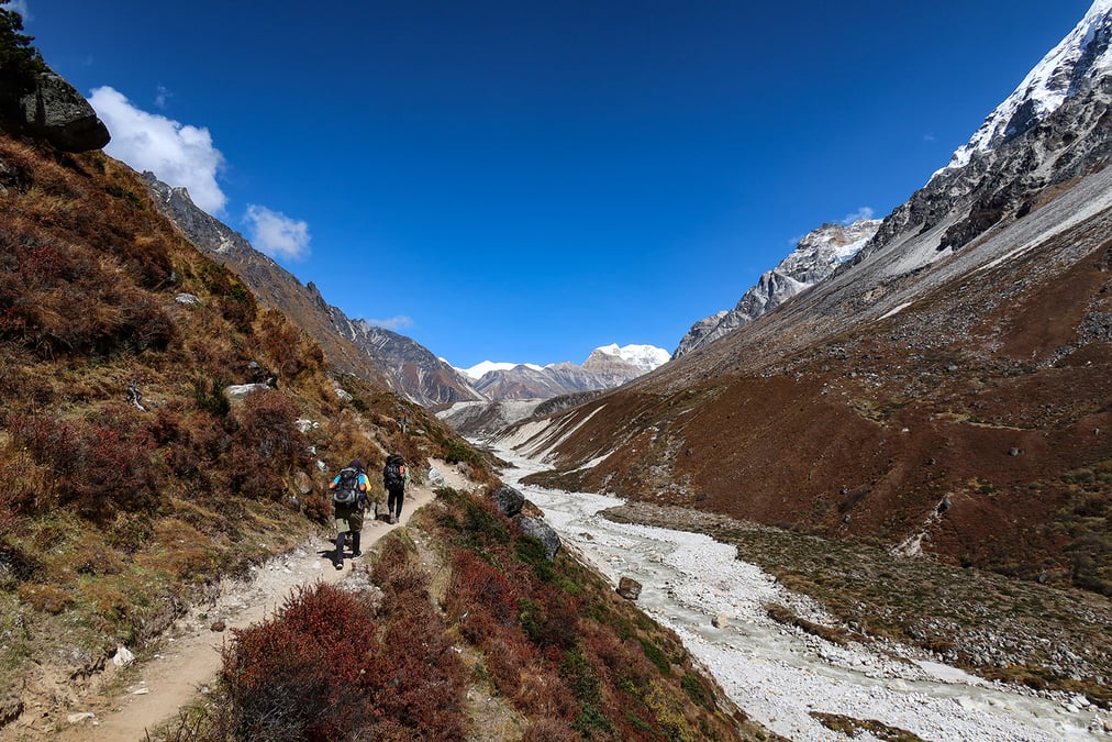 Himalayan highs