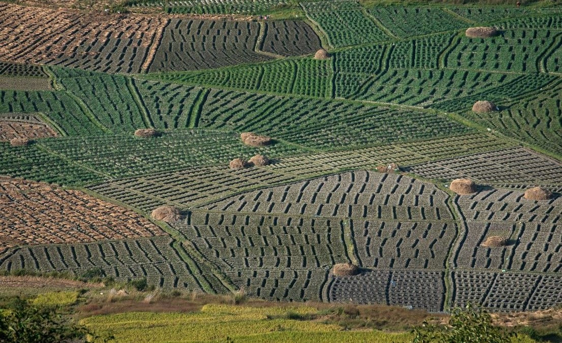 Ground reality of landlessness in Nepal