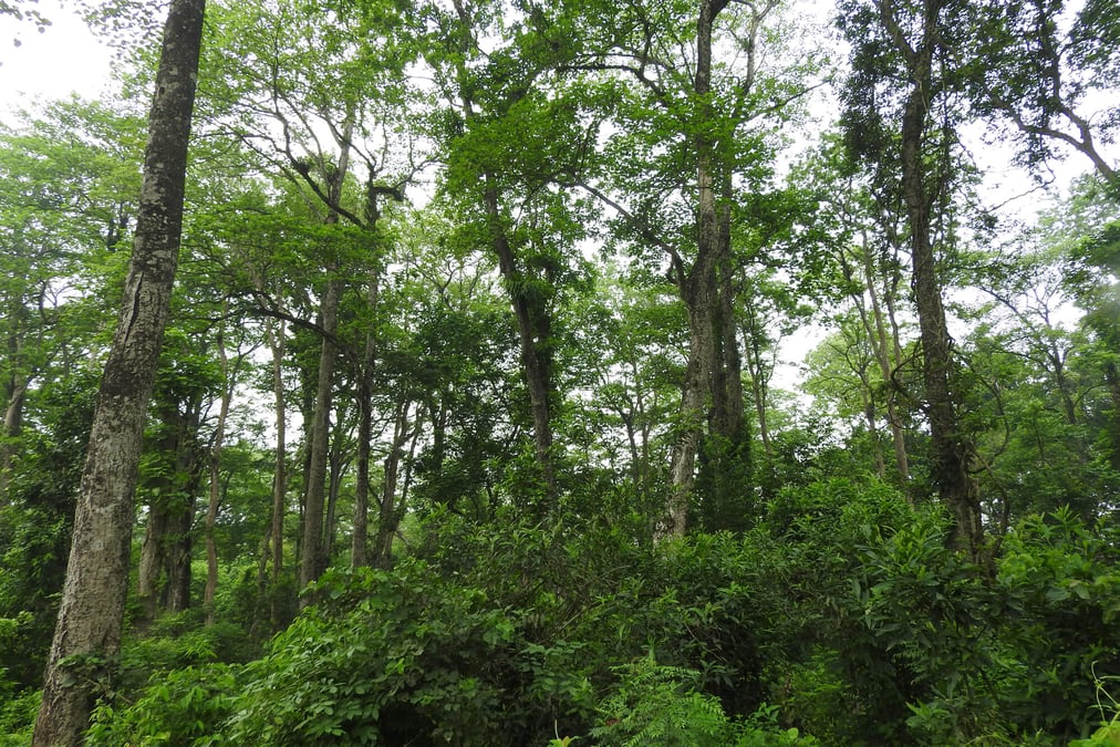 Safeguarding the soul of sal