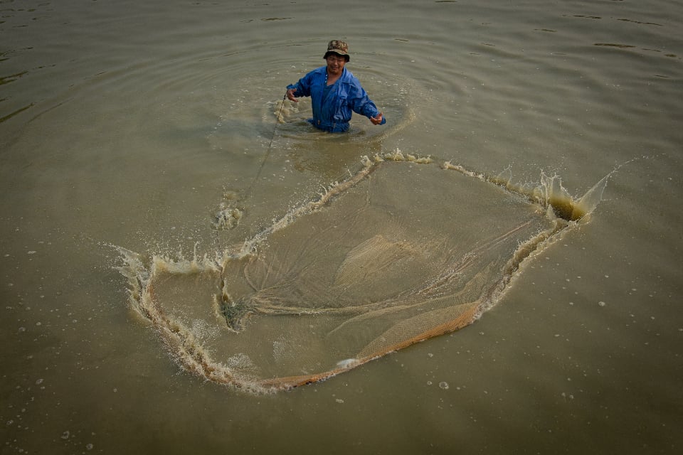 Pigs fly and fish climb trees