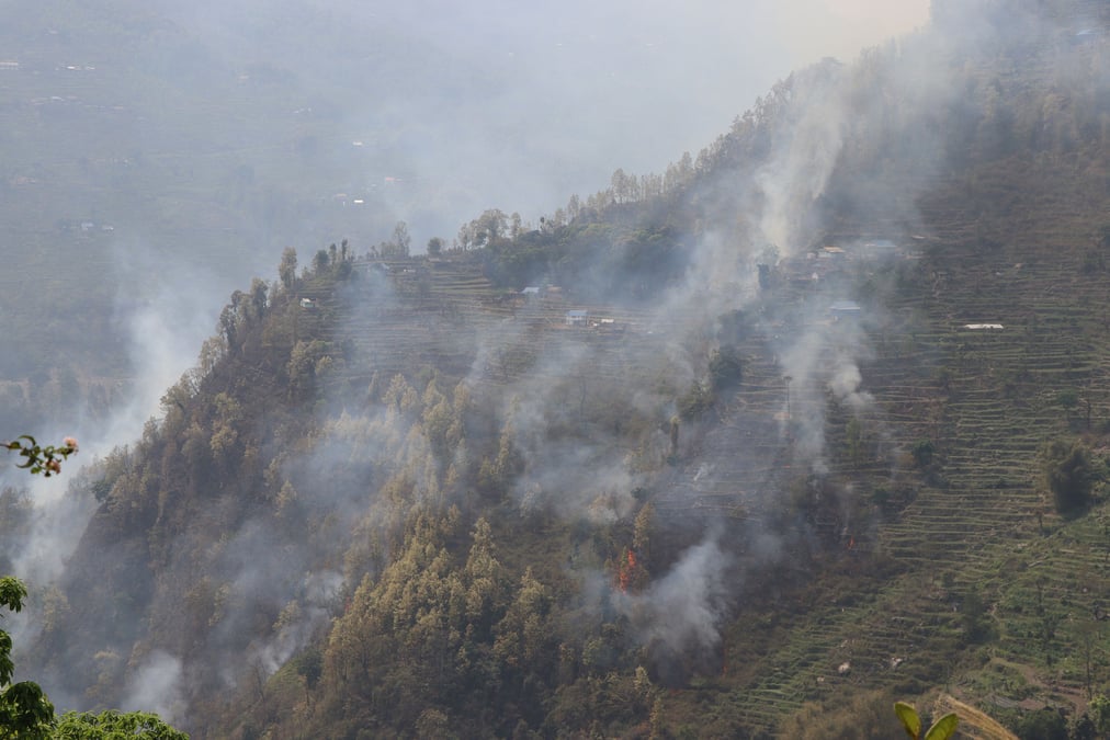 Close-up of forests on fire in Taplejung. Photo: RSS