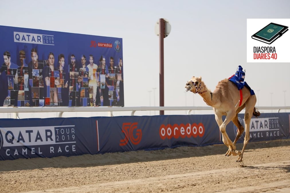 Al Shahaniya Camel Racing Track where Riyaz with a robo-jockey came first.