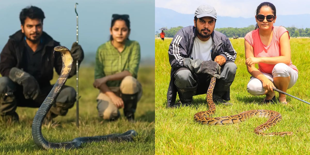 Asbin Raj Ojha and Anjali Thapaliya with a King Cobra. Photo: SHYAM BASHYAL. The couple with a Burmese Python on the right. Photo: ROHIT SAPKOTA