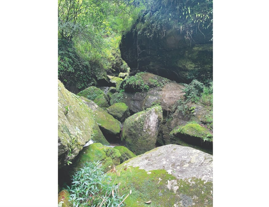 The Nagmati inside the national park near the proposed dam site is a boulder-strewn stream. Photo: KUNDA DIXIT