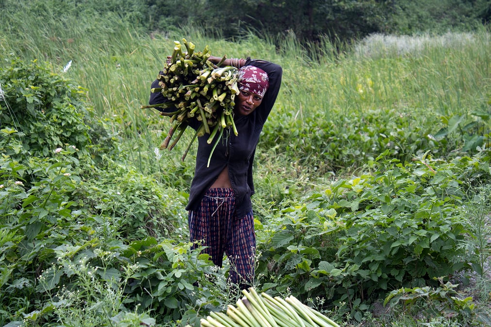 Weaving nature into craft