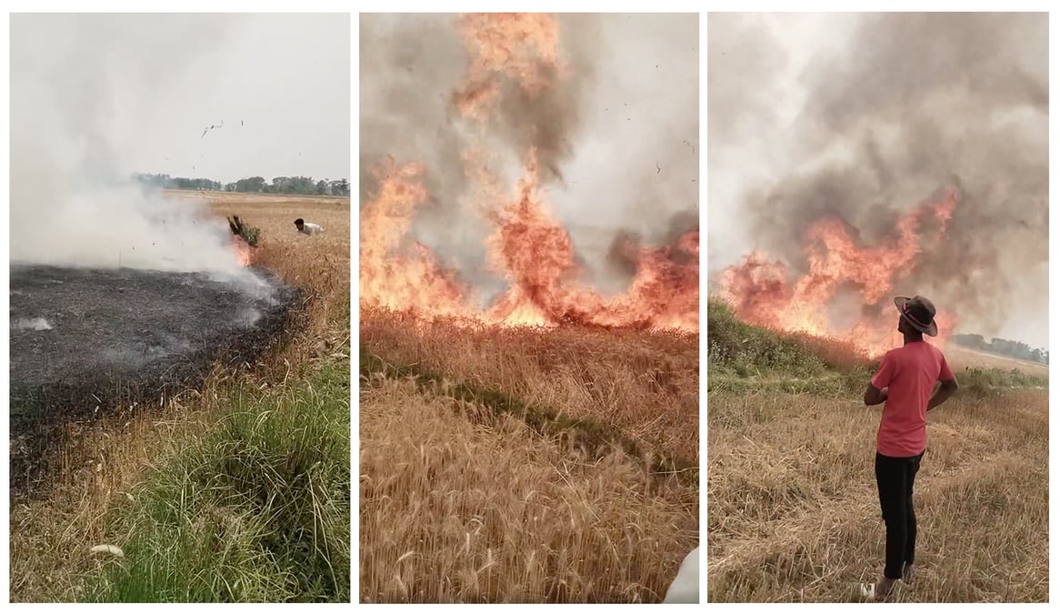 Sparks from burning stubble in one farm ignited a wheat field that was being prepared for harvest in Karahiyamai Municipality of Bara on Tuesday. Photos: DILSAD ALAM
