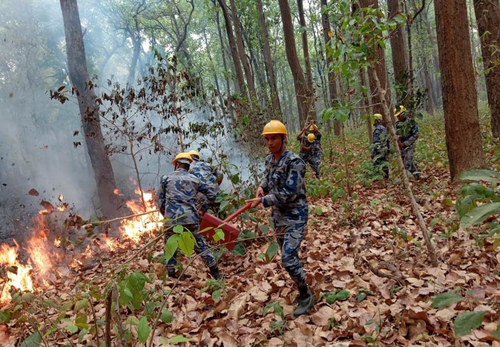 The Armed Police Force attempting to get a forest fire under control at the Baijnath Community Forest in Kanchanpur's Suklaphanta Minicipality on 27 April. Photo: Rajendra Prasad Paneru/RSS