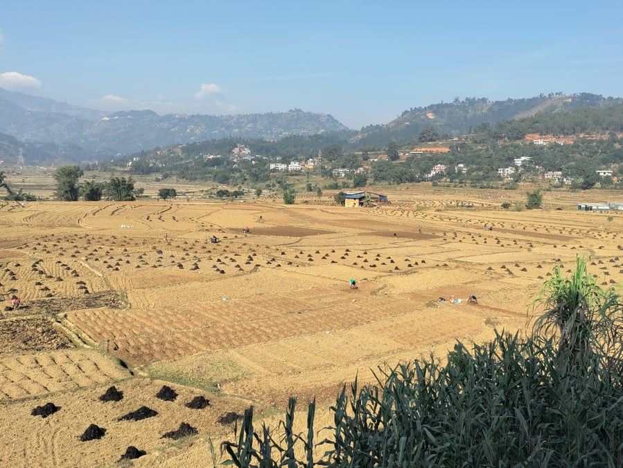 Farmers work the soil in Kavre's Kuntabesi. Photo: KANCHAN KATTEL