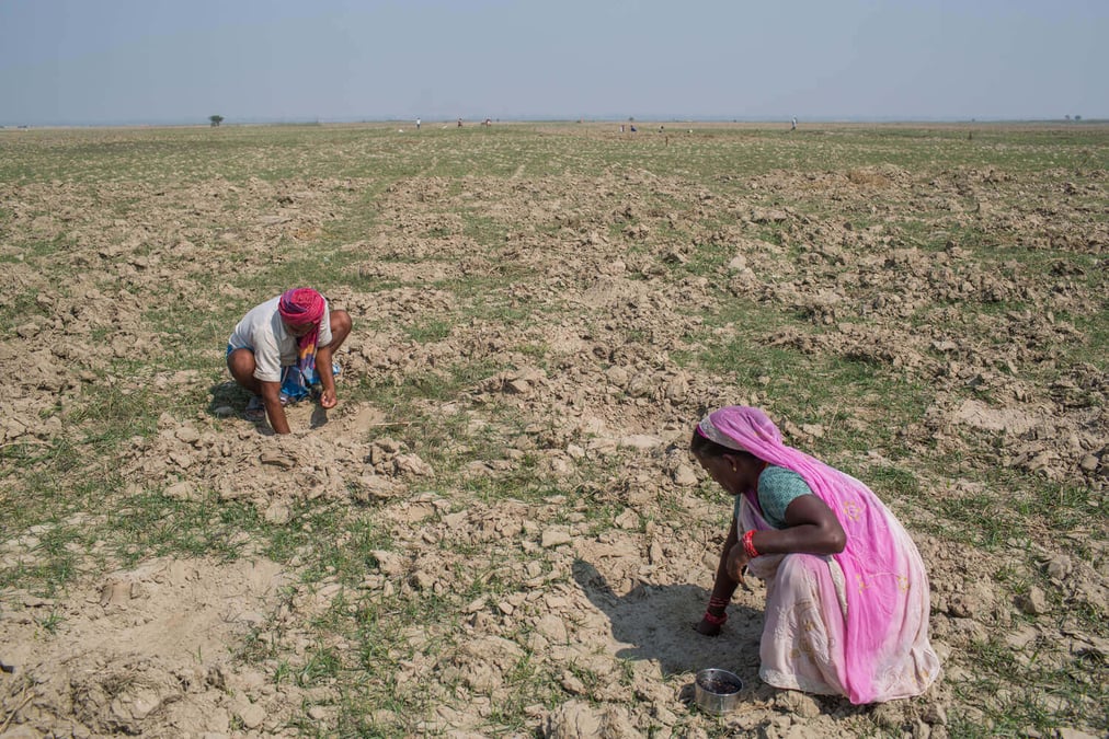 Farmers in Bihar, across the border from Nepal, tending to their parched fields. Photo: NABIN BARAL / THE THIRD POLE