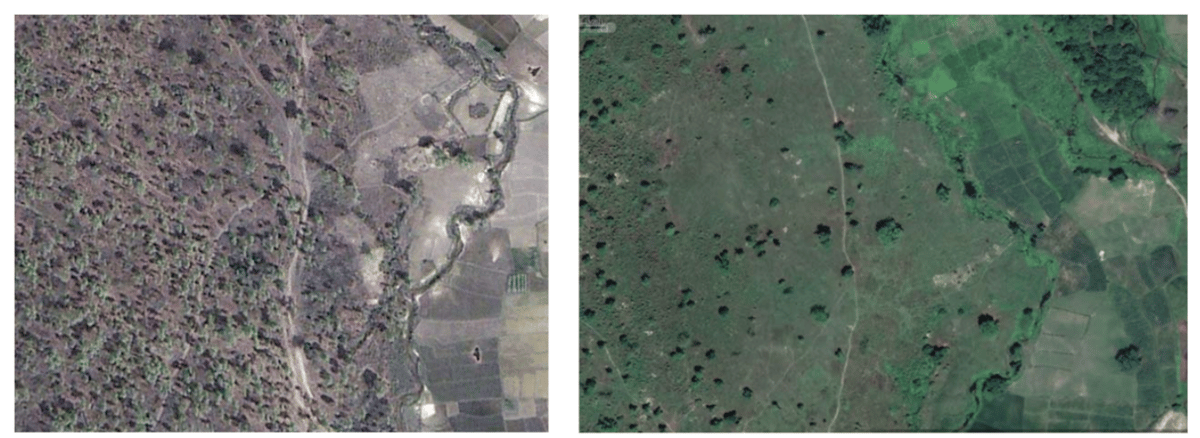 DEFORESTATION FROM SPACE: Parsa's Gadimai Partnership Forest in 2008 and in 2021 on Google Earth Pro. The vegetation colour is different because the images were taken in different seasons. The location of the forest is marked in red in the map below.