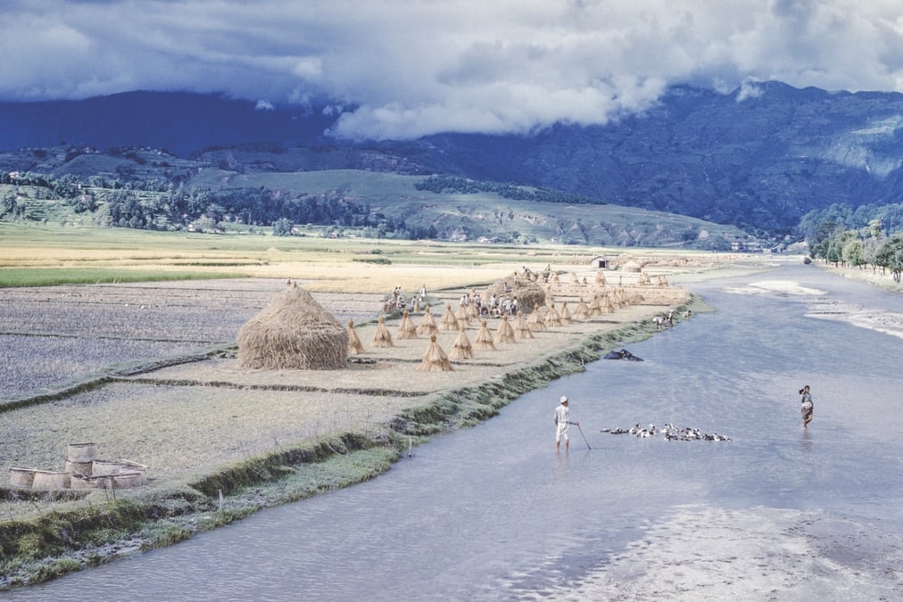 THE WAY WE WERE: As Kathmandu Valley recovers from floods, a reminder of the Bagmati floodplain at Gokarna in 1960 with a farmer wading his ducks across the river. All photos: MÉMOIRES DE L'HIMALAYA