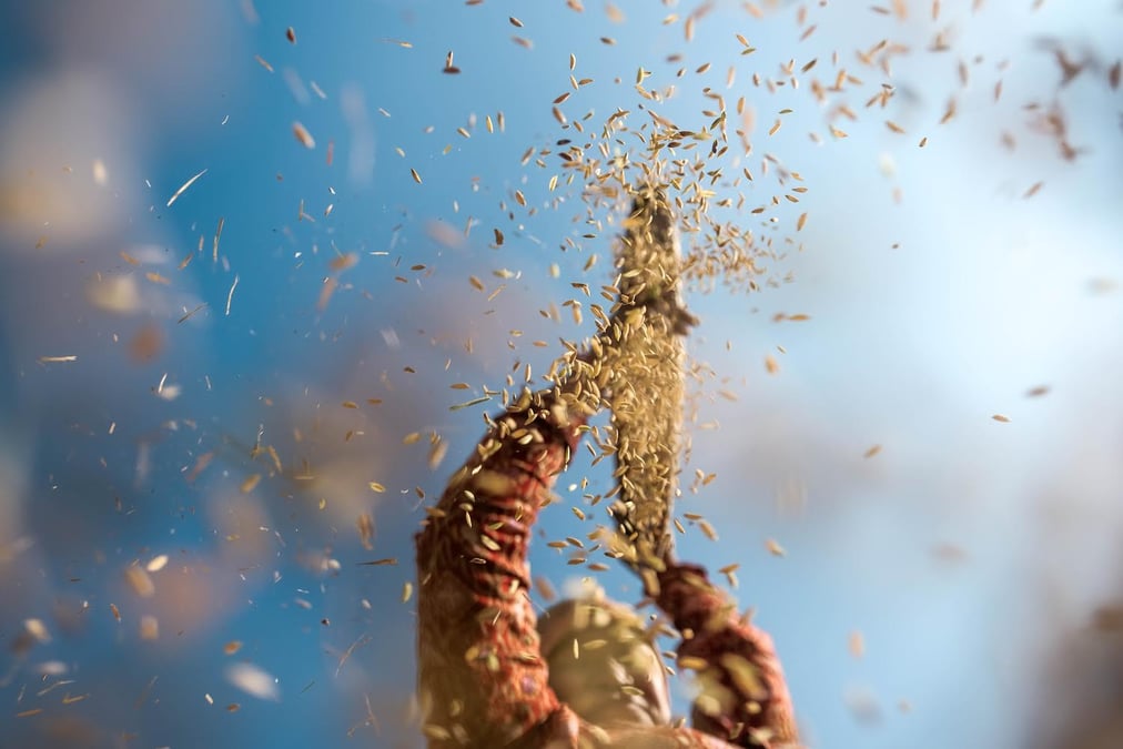 Photos: SUMAN NEPALI