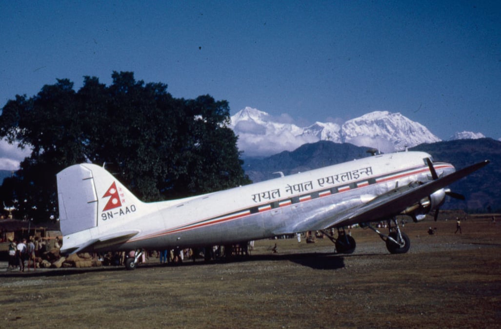 Trees of life and living