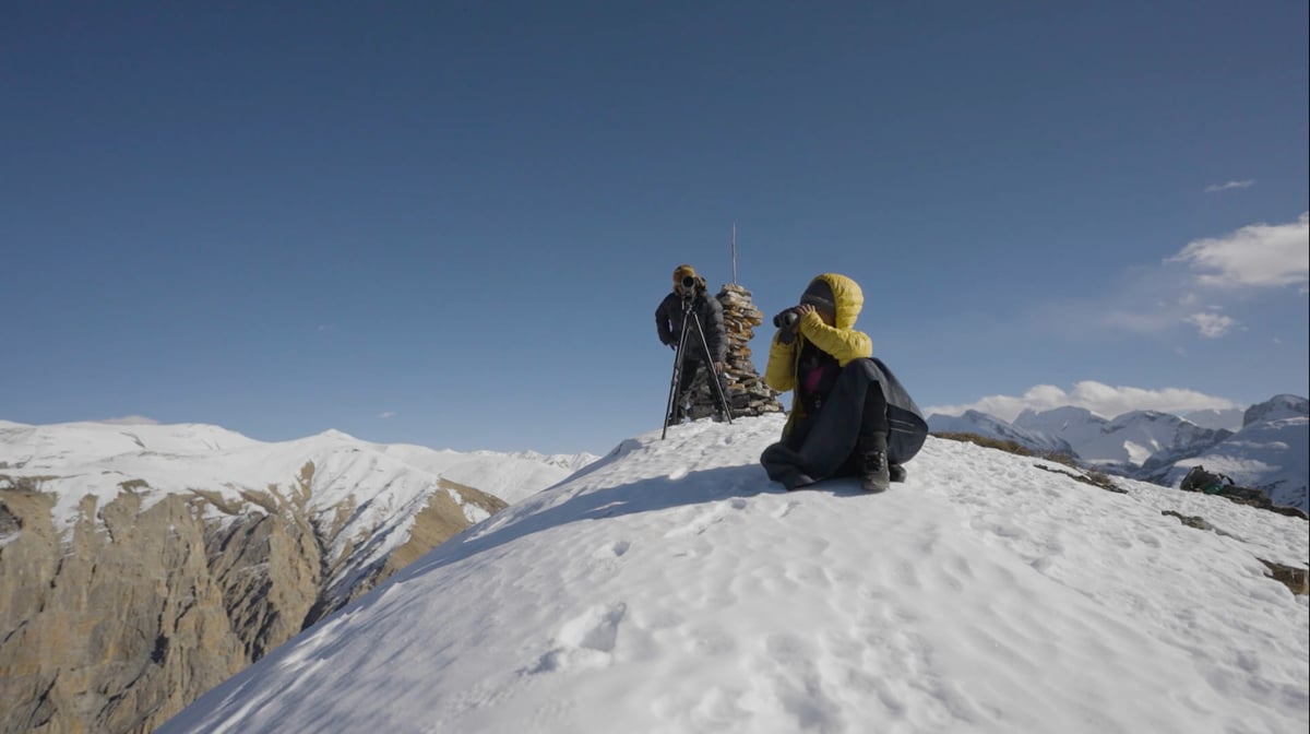 Sisterhood of the snow leopard protectors