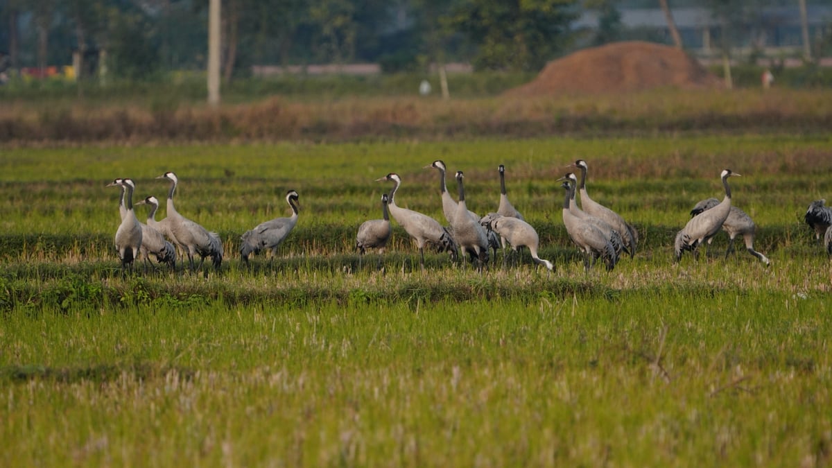 Photos: RAJENDRA N SUWAL