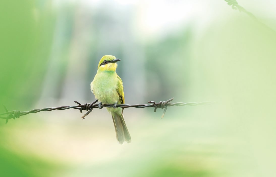 Photographing photogenic Nepal