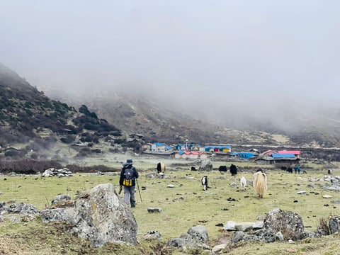 Balancing nature and infrastructure in Kangchenjunga