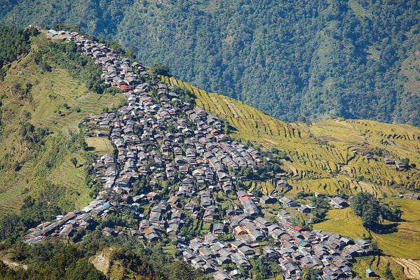 Lost in reconstruction