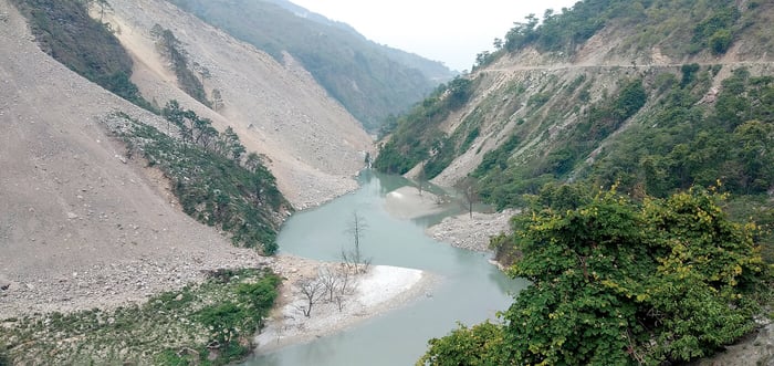 Environmental destruction is a medical emergency