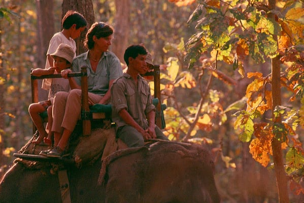 A working mother’s guilt