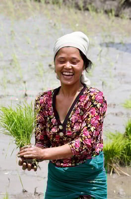 IPCC report and Nepal’s food security