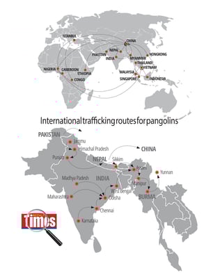 Better Nepal-China connectivity helps wildlife smugglers
