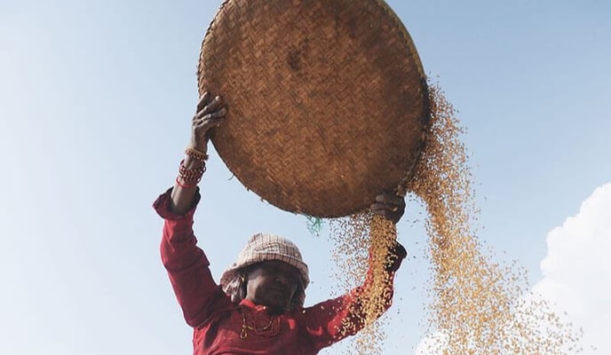 Save farms, empower farmers, Nepal citizens’ appeal