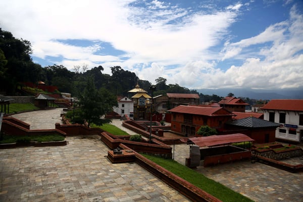 Pandemic brings new Tij tune