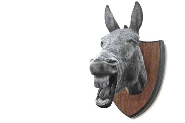 Men's fashion trends