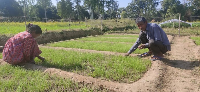 Owning land gives former slaves self-respect