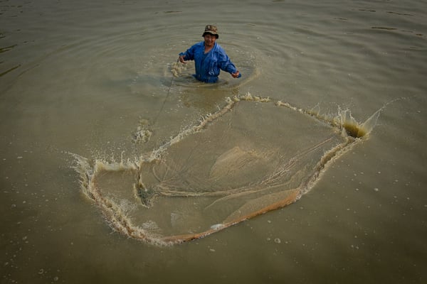 Pigs fly and fish climb trees