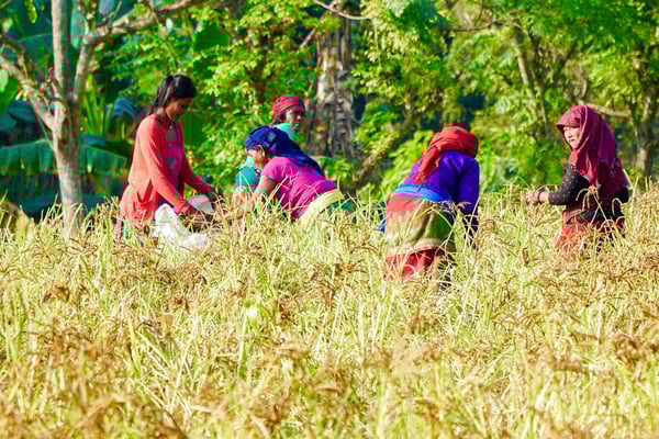 Taking climate finance to the people