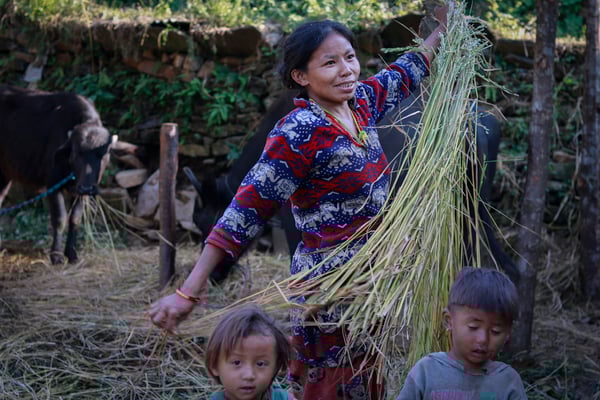 Dejected voters reject polls