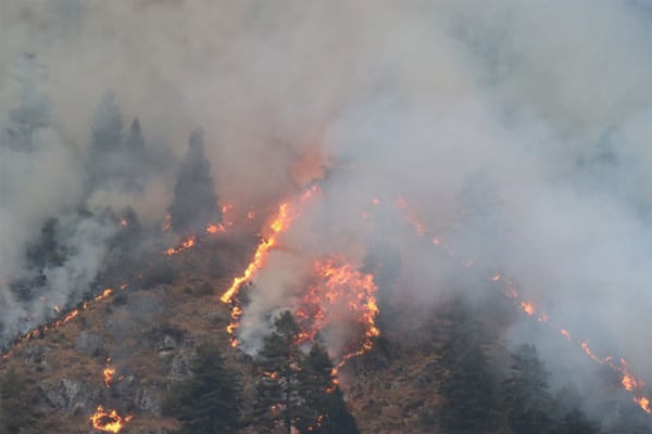 More pre-monsoon forest fires in Nepal