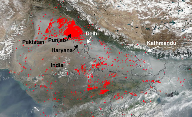 Toxic Tihar