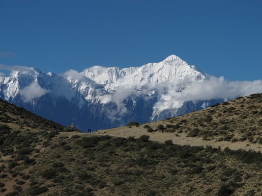 Hibernating students of the Himalaya