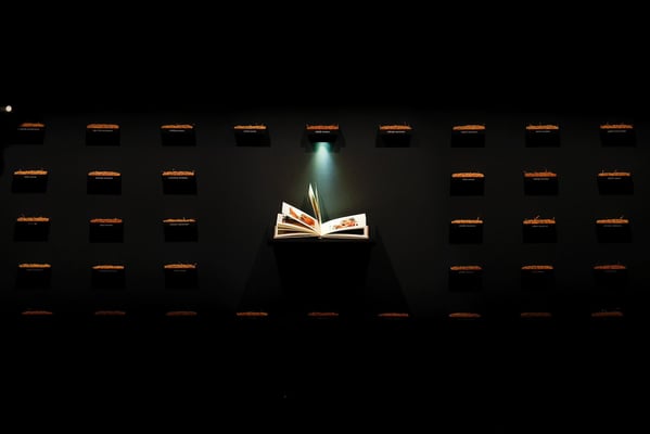 Seeing the forest and the trees