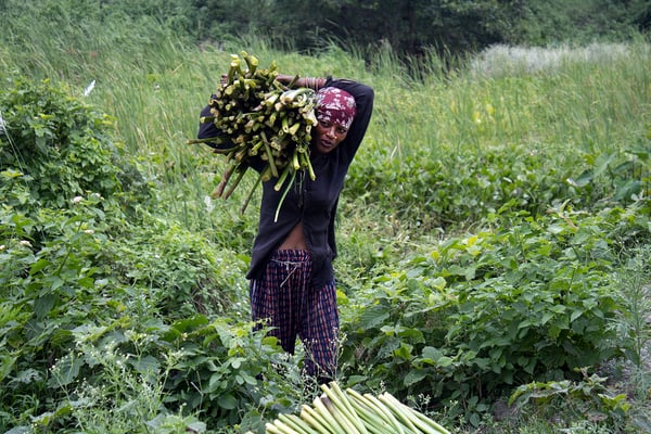 Weaving nature into craft