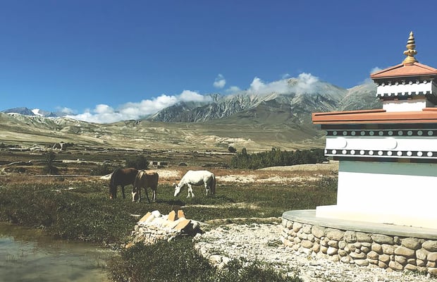 The kingdom within a republic