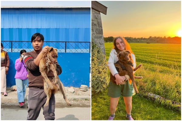 Kalle’s cross-continental journey