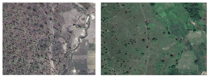 The Tarai’s shrinking forests