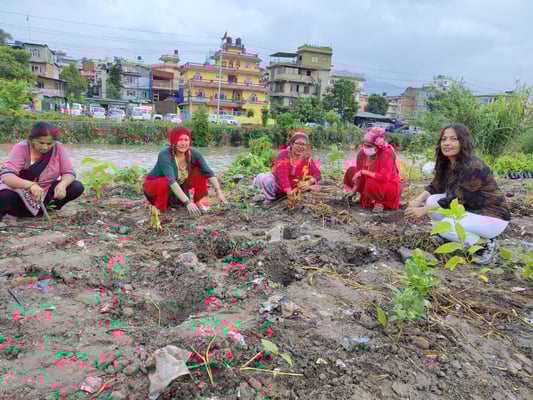 Saving cities with trees