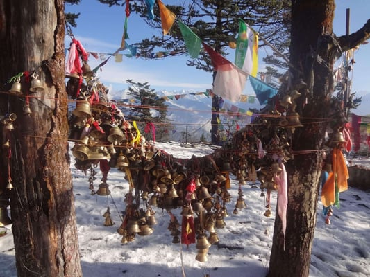 Progress and/or Preservation