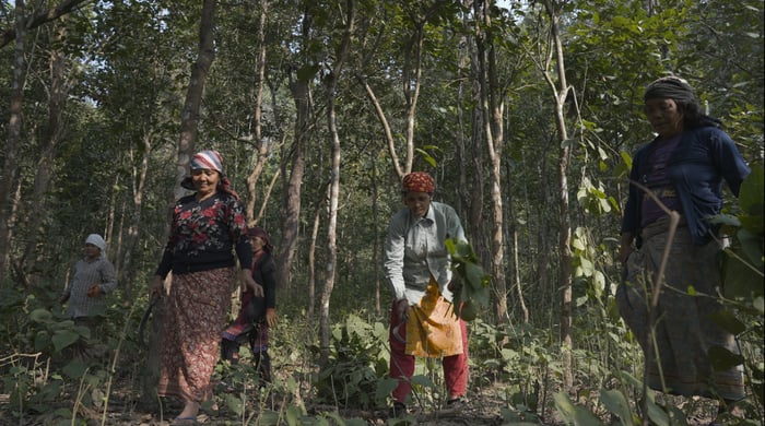 Community reduces wildfire risk, increases wellbeing