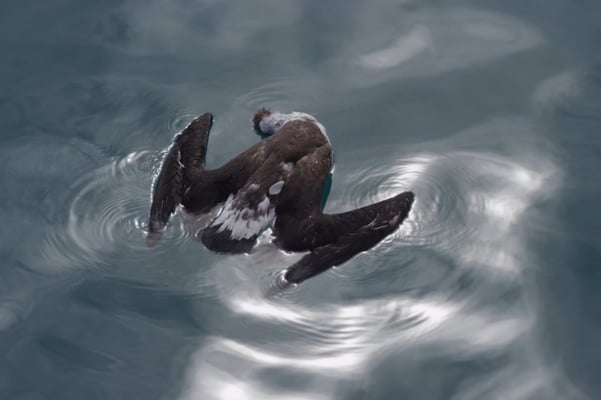 Himalayan tipping points