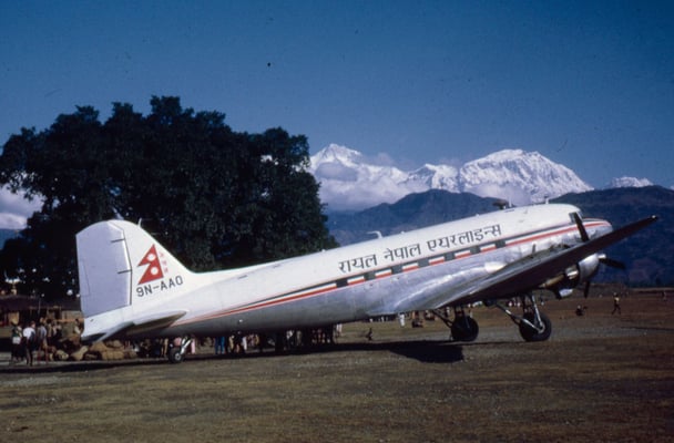 Trees of life and living